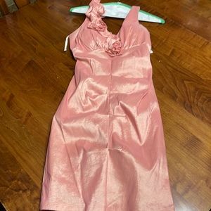 La Scala dress. Worn to a wedding once. Youth L and a adult Small.